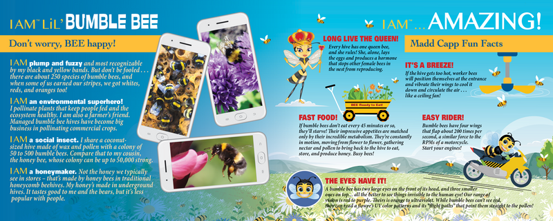Madd Capp Puzzles – I Am Lil' Bumble Bee Jigsaw Puzzle | 100 Pieces – educational Fun Facts insert