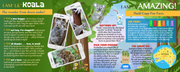 Madd Capp Puzzles – I Am Lil' Koala Jigsaw Puzzle | 100 Pieces – educational Fun Facts insert