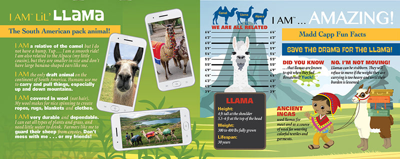 Madd Capp Puzzles – I Am Lil' Llama Jigsaw Puzzle | 100 Pieces – educational Fun Facts insert