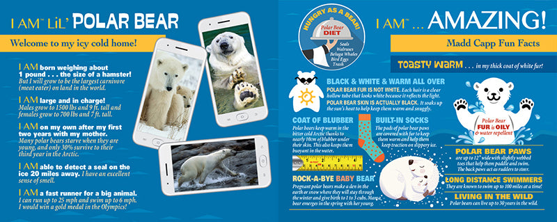Madd Capp Puzzles – I Am Lil' Polar Bear Jigsaw Puzzle | 100 Pieces – educational Fun Facts insert