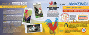 Madd Capp Puzzles – I Am Lil' Rooster Jigsaw Puzzle | 100 Pieces – educational Fun Facts insert
