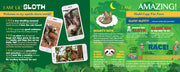 Madd Capp Puzzles – I Am Lil' Sloth Jigsaw Puzzle | 100 Pieces – educational Fun Facts insert