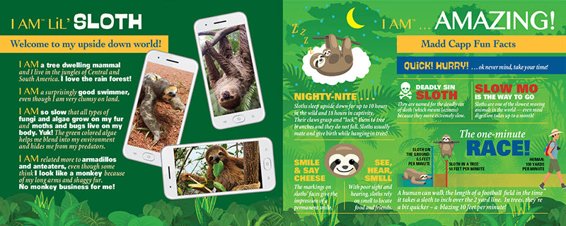 Madd Capp Puzzles – I Am Lil' Sloth Jigsaw Puzzle | 100 Pieces – educational Fun Facts insert