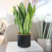 LXPRIMO Aluminum Tabletop Vases (Set of 3) – view 5