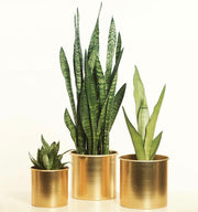 LXPRIMO Aluminum Tabletop Vases (Set of 3) – view 6