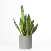 LXPRIMO Aluminum Tabletop Vases (Set of 3) – view 7