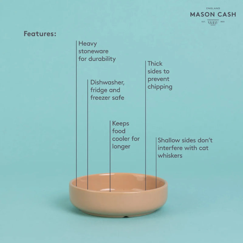 Mason Cash - PETWARE - Cane Cat Saucer