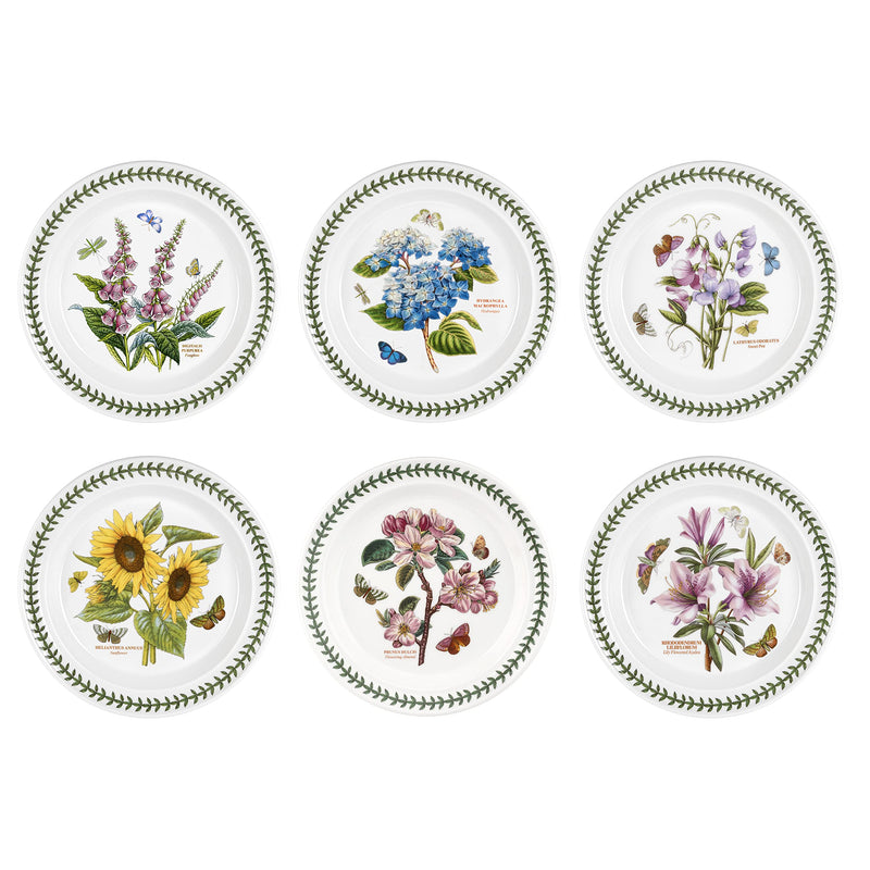 Portmeirion Dinner Plates, Set of 6