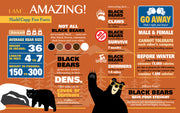 Madd Capp Puzzles – I Am Bear Jigsaw Puzzle | 300 Pieces – educational Fun Facts insert