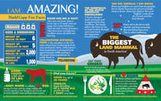 Madd Capp Puzzles – I Am Bison Jigsaw Puzzle | 300 Pieces – educational Fun Facts insert