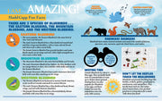 Madd Capp Puzzles – I Am Bluebird Jigsaw Puzzle | 300 Pieces – educational Fun Facts insert