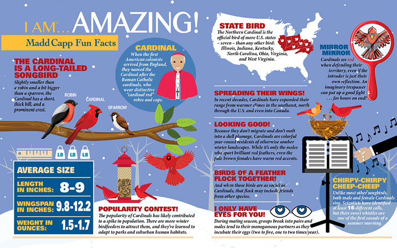 Madd Capp Puzzles – I Am Cardinal Jigsaw Puzzle | 300 Pieces – educational Fun Facts insert
