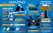 Madd Capp Puzzles – I Am Eagle Jigsaw Puzzle | 300 Pieces – educational Fun Facts insert