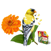 Madd Capp Puzzles – I Am Goldfinch Jigsaw Puzzle | 300 Pieces – puzzle and packaging