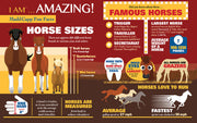 Madd Capp Puzzles – I Am Horse Jigsaw Puzzle | 300 Pieces – educational Fun Facts insert