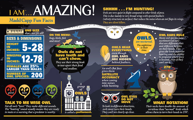 Madd Capp Puzzles – I Am Owl Jigsaw Puzzle | 300 Pieces – educational Fun Facts insert