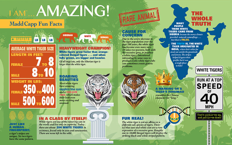 Madd Capp Puzzles – I Am White Tiger Jigsaw Puzzle | 300 Pieces – educational Fun Facts insert