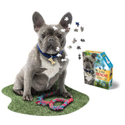 Madd Capp Puzzles – I Am Frenchie Jigsaw Puzzle | 550 Pieces – puzzle and packaging