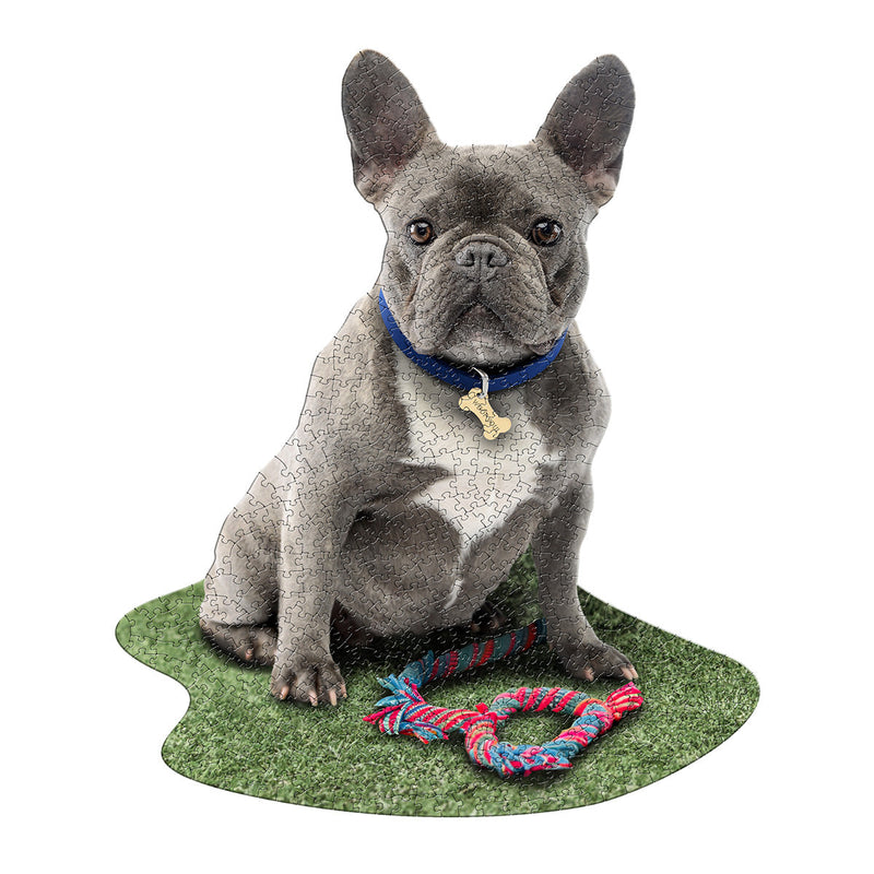 Madd Capp Puzzles – I Am Frenchie Jigsaw Puzzle | 550 Pieces – completed puzzle