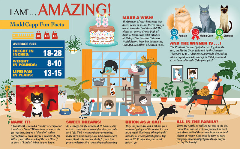 Madd Capp Puzzles – I Am Cat Jigsaw Puzzle | 550 Pieces – educational Fun Facts insert