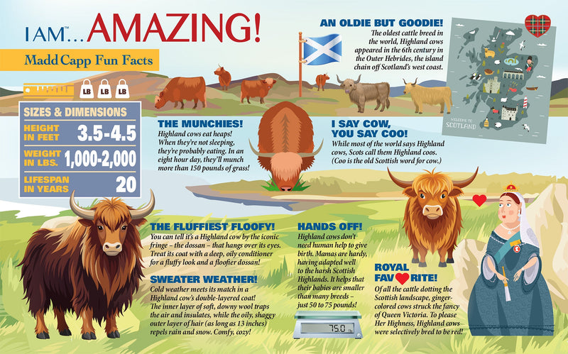 Madd Capp Puzzles – I Am Highland Cow Jigsaw Puzzle | 550 Pieces – educational Fun Facts insert