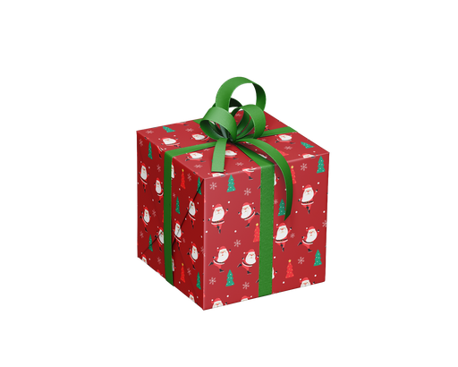 REAM: XMAS WRAPPING- SANTA