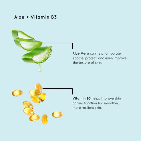 BCL Spa - Lingettes Nettoyantes Démaquillantes Aloès + Vitamine B3 Vitaluxe (PAQUET DE 60)