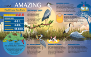 Madd Capp Puzzles – I Am Blue Heron Jigsaw Puzzle | 300 Pieces – educational Fun Facts insert