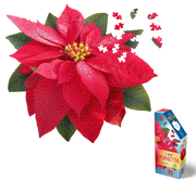 Madd Capp Puzzles – I Am Poinsettia Jigsaw Puzzle | 350 Pieces – puzzle and packaging