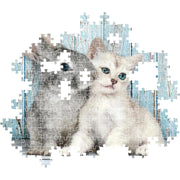 PZ500: CAT & BUNNY