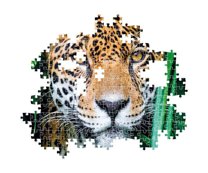 PZ500: JAGUAR IN THE JUNGLE