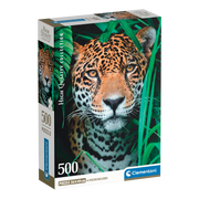 PZ500: JAGUAR IN THE JUNGLE
