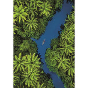 PZ500: TROPICAL AERIAL VIEW