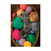 PZ500: FLUFFY KITTEN