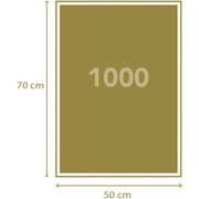 PZ1000 : AMERIGO VESPUCCI