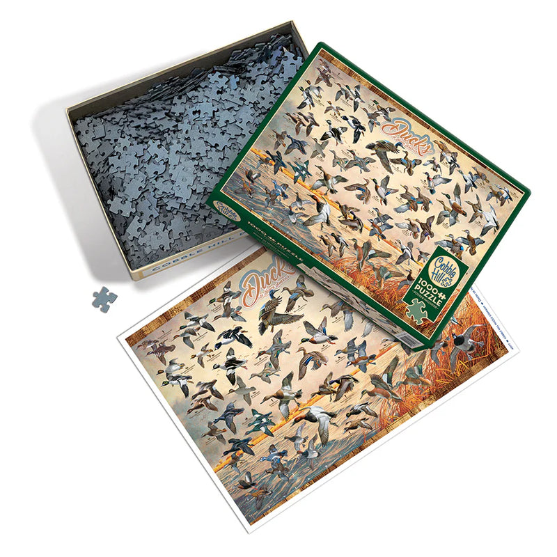 Cobble Hill - Puzzle de 1000 pièces - Canards d'Amérique du Nord
