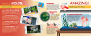 Madd Capp Puzzles – I Am Lil' Axolotl Jigsaw Puzzle | 100 Pieces – educational Fun Facts insert