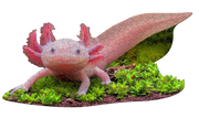 Madd Capp Puzzles – I Am Lil' Axolotl Jigsaw Puzzle | 100 Pieces – completed puzzle
