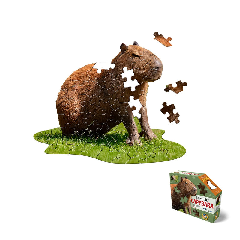 Madd Capp Puzzles - JE SUIS le petit Capybara (48 mcx)