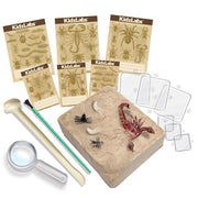 4M - Creepy Crawly Digging Kit - Limolin 