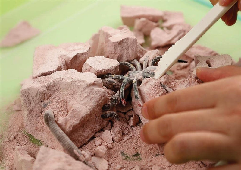 4M - Creepy Crawly Digging Kit - Limolin 