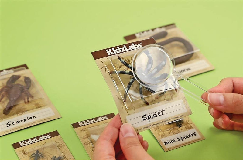 4M - Creepy Crawly Digging Kit - Limolin 