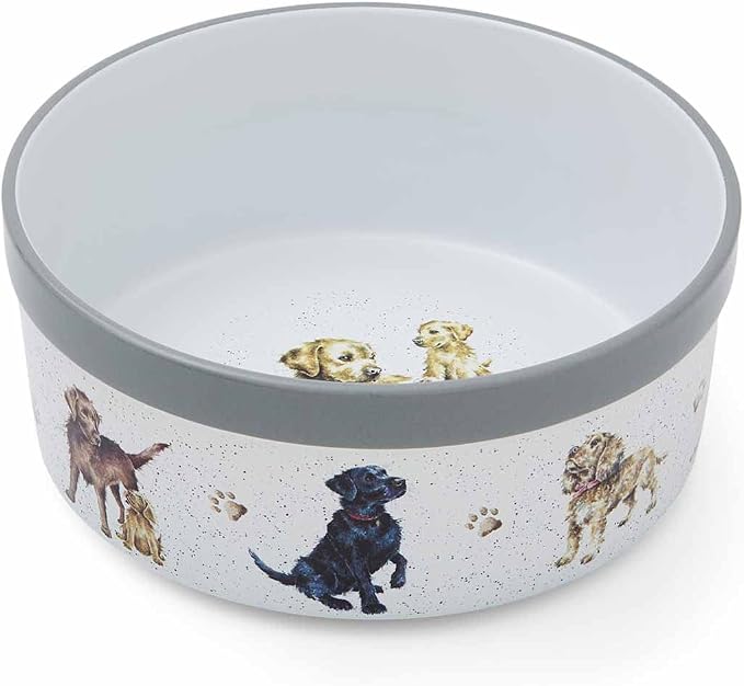 Royal Worcester - Bol pour animaux 21,5 cm