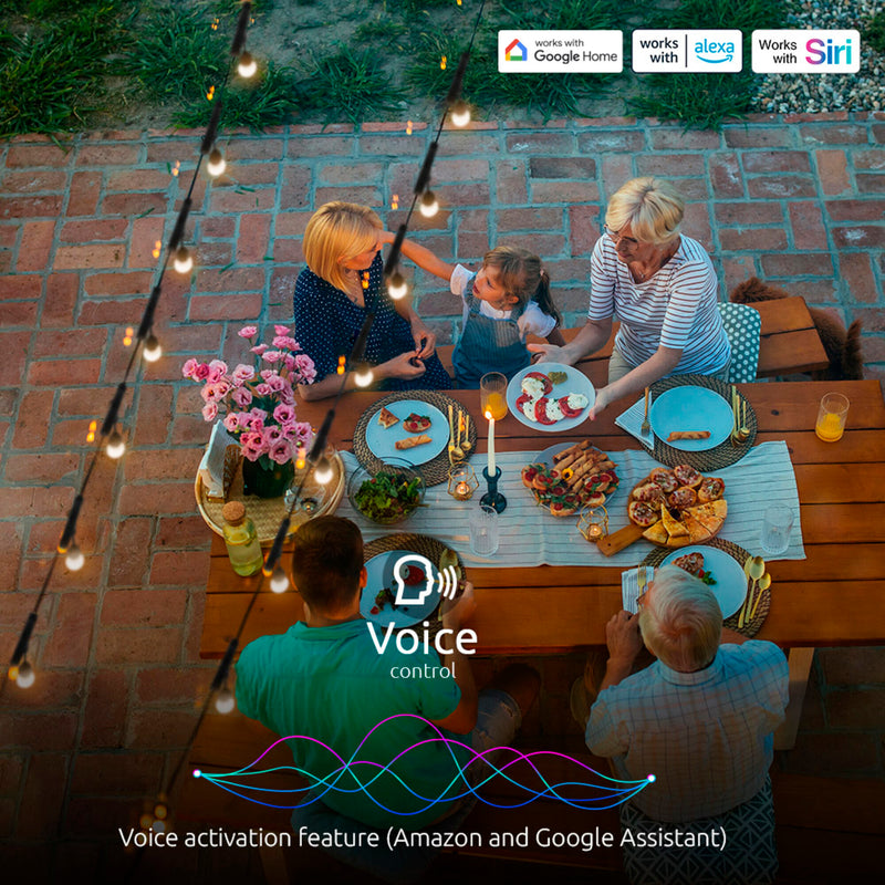 Nexxt NHB-O100 – outdoor voice control
