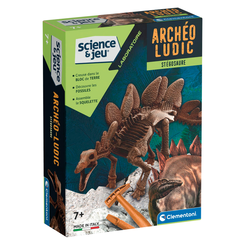 SCIENCE & JEU: ARCHÉO-LUDIC - STÉGOSAURE