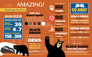 Madd Capp Puzzles – I Am Bear Jigsaw Puzzle | 586 Pieces – educational Fun Facts insert