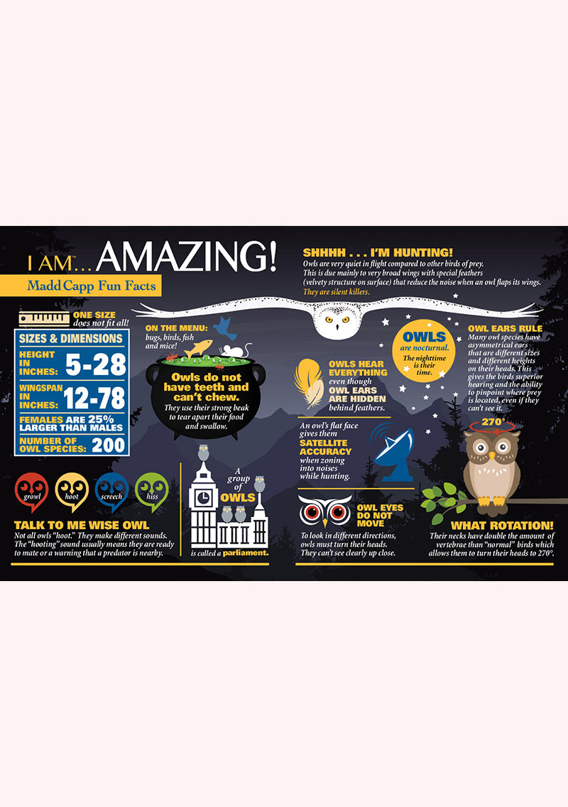 Madd Capp Puzzles – I Am Owl Jigsaw Puzzle | 535 Pieces – educational Fun Facts insert