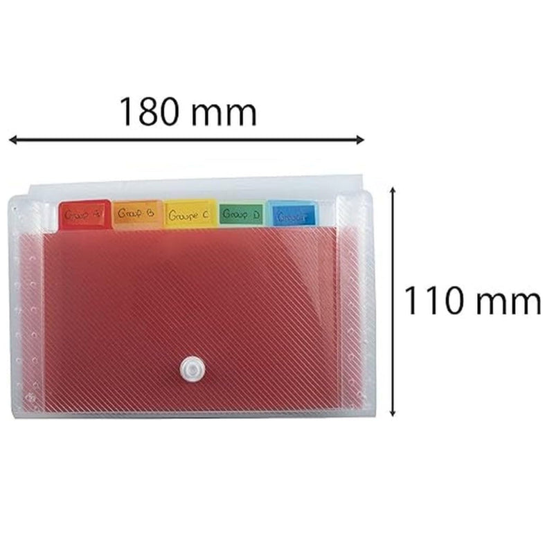 Index Crystal 6 Compartments (7x4.3in)