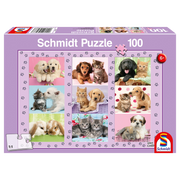 PZ100: MY ANIMAL FRIENDS