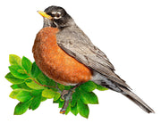Madd Capp Puzzles – I Am Robin Jigsaw Puzzle | 300 Pieces – completed puzzle